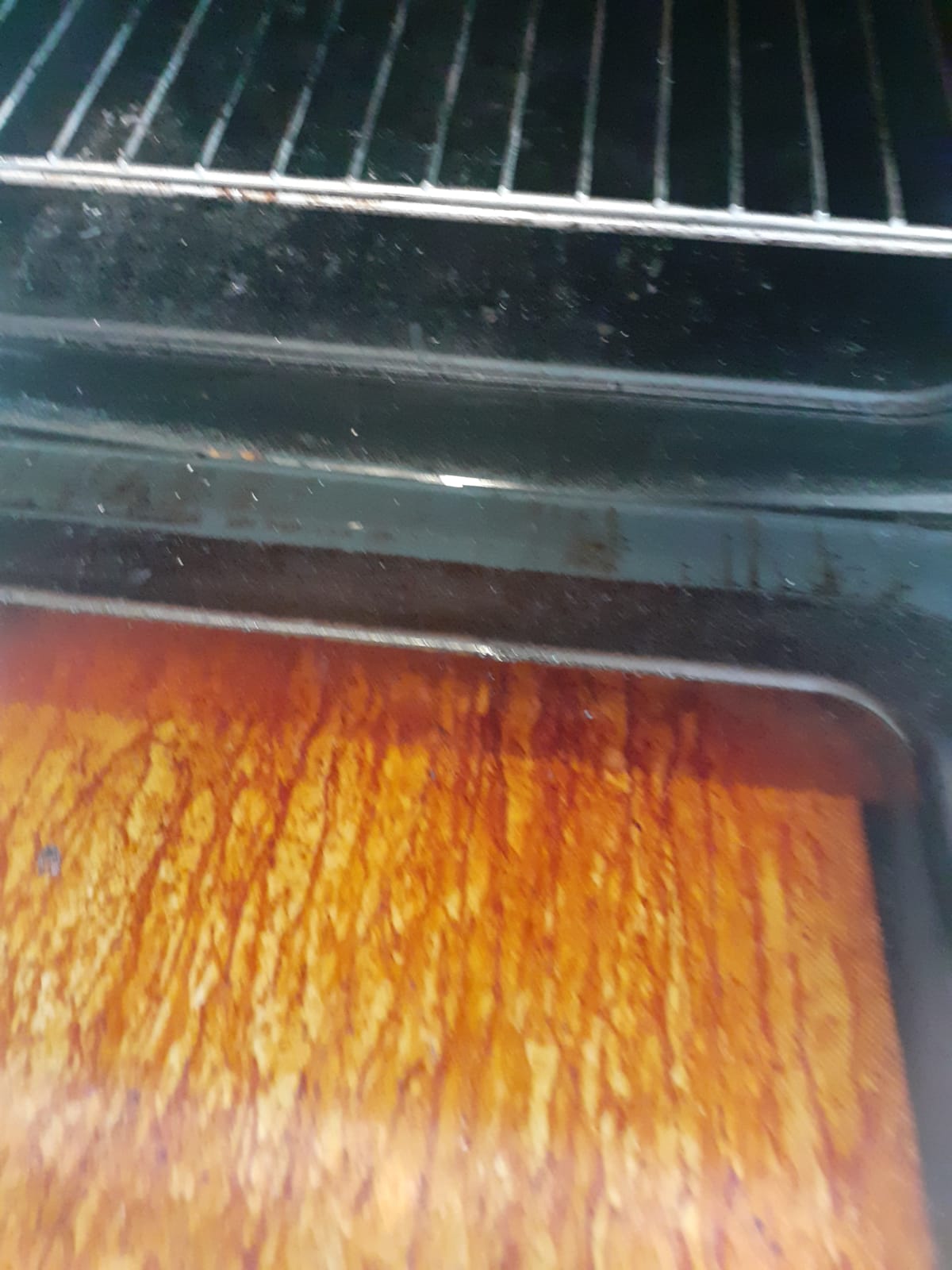 Professional wellness facility system assessment